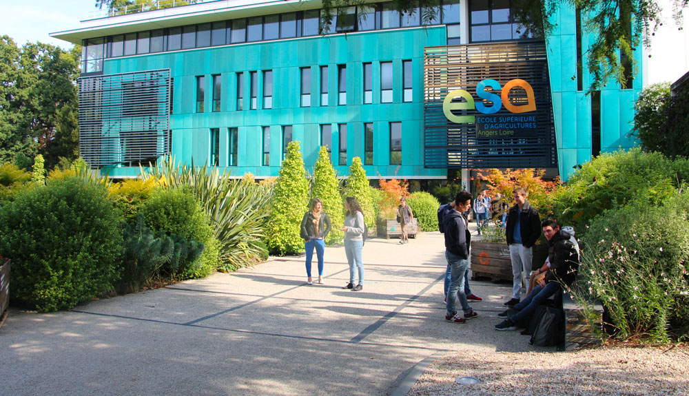 OnLine Application Groupe ESA Angers - France